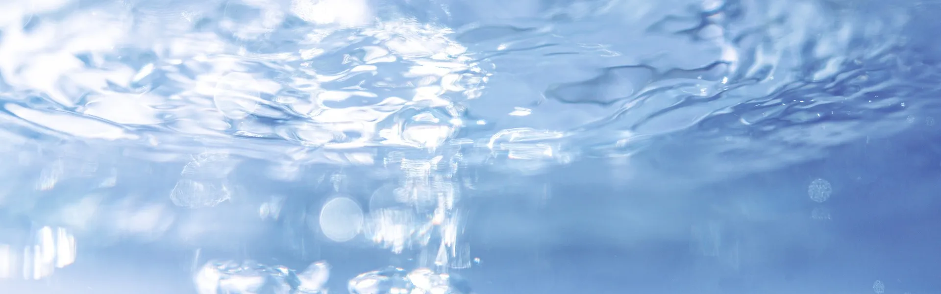 雪が降りましたね