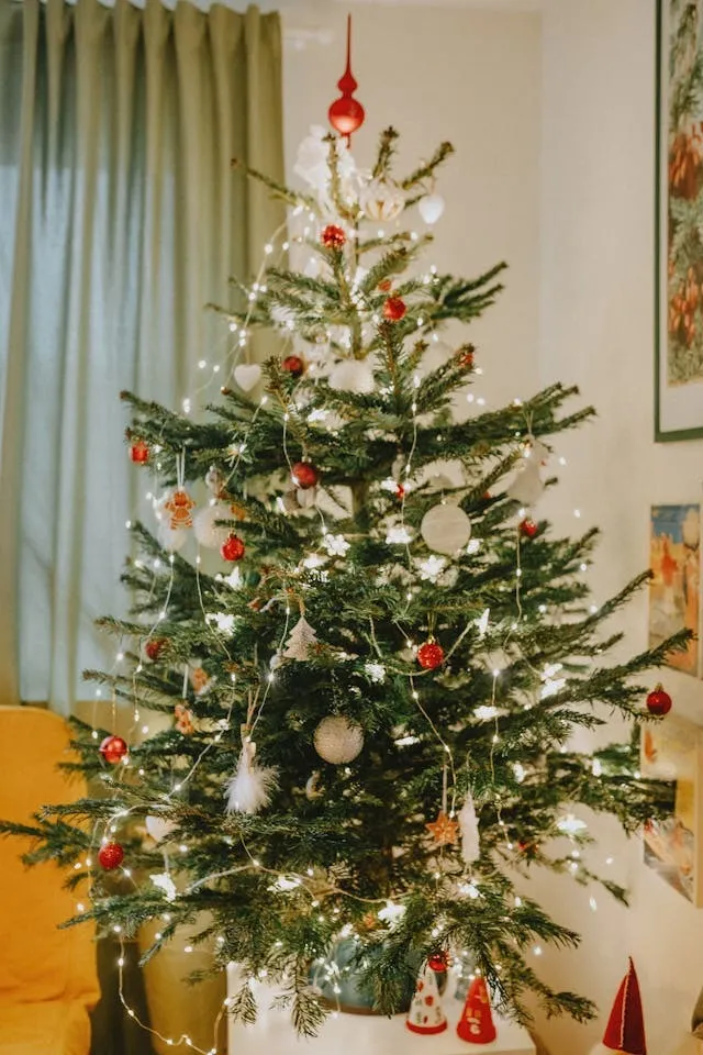 今日はクリスマスイブです。